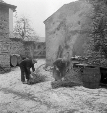 photographie - MNATP. Enquête sur la viticulture en Bourgogne (1946 - 1950).