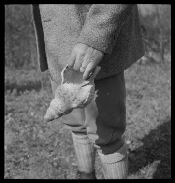 photographie - Domaine de Wideville. Conque servant à l'appel du cerf tenue en main par Monsieur Ernest Rèbre. Objet du MNATP, collection 1954.32